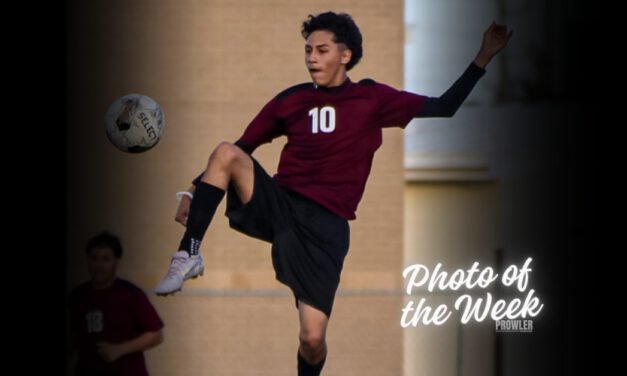 Photo of the Week: Jan. 8 – Jan. 20